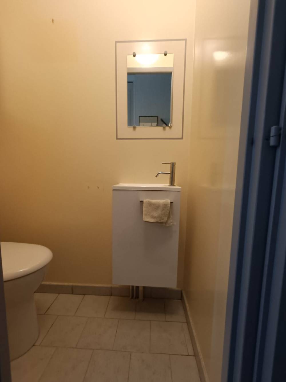 Remplacement WC_CREMIEU_Photo2